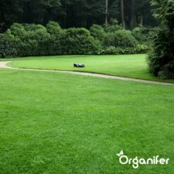 IJzersulfaat Meststof – Mos Verwijderaar – 5kg -Voor 250m2 (organifer) 23 IJzersulfaat Meststof – Mos Verwijderaar – 5kg -Voor 250m2 (organifer) -Tuinen Speciaal Winkel 1200x1200 1863