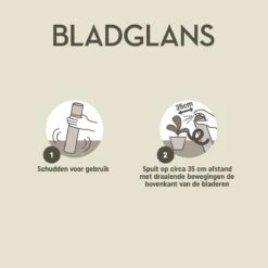 Pokon Bladglans 250ml -Tuinen Speciaal Winkel 1200x1200 1873