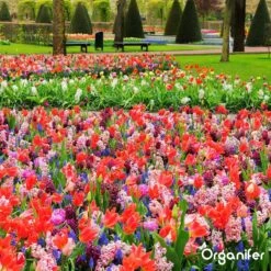 Lavameel Uit Eifel Oergesteente (20Kg Voor 200m2) Organifer -Tuinen Speciaal Winkel 1200x1200 1880