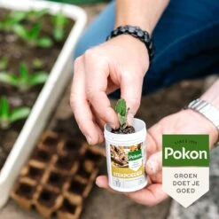 Pokon Stekpoeder - 25gr - Stimuleert Wortelvorming -Tuinen Speciaal Winkel 1200x1200 1911