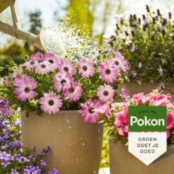Pokon Terras & Balkonplanten Voeding - 1l - Plantenvoeding - 20ml Per 1L Water -Tuinen Speciaal Winkel 1200x1200 1918