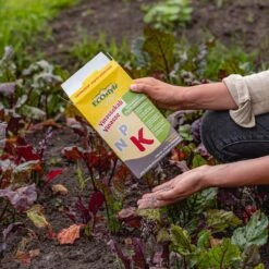 ECOStyle Vinassekali Organische Meststof - Vuor Kaliumtekort - Voor Moestuin, Siertuin En Fruit - Hoger Weerstand Tegen Droogte & Vorst - 15M² - 800 GR -Tuinen Speciaal Winkel 1200x1200 1924