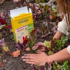 ECOStyle Vinassekali Organische Meststof - Vuor Kaliumtekort - Voor Moestuin, Siertuin En Fruit - Hoger Weerstand Tegen Droogte & Vorst - 15M² - 800 GR -Tuinen Speciaal Winkel 1200x1200 1925