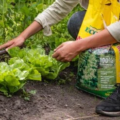 ECOStyle Moestuinmest Voor Eetbare Gewassen - Voor Fruit En Moestuin - Rijk Aan Kalium - 120 Dagen Voeding - 80 M² - 8 KG -Tuinen Speciaal Winkel 1200x1200 1928