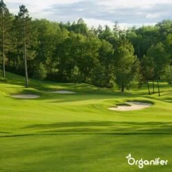 Kalk Korrel Meststof Verrijkt Met Magnesium (20Kg - Voor 400m2) Voor Dieper Bladgroen (+PH) Speciaal Voor Gazon, Perken, Moestuin En Openbaar Groen - Organifer -Tuinen Speciaal Winkel 1200x1200 1947