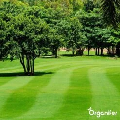 Kalk Korrel Meststof Verrijkt Met Magnesium (20Kg - Voor 400m2) Voor Dieper Bladgroen (+PH) Speciaal Voor Gazon, Perken, Moestuin En Openbaar Groen - Organifer -Tuinen Speciaal Winkel 1200x1200 1953