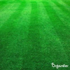 Kalk Korrel Meststof Verrijkt Met Magnesium (20Kg - Voor 400m2) Voor Dieper Bladgroen (+PH) Speciaal Voor Gazon, Perken, Moestuin En Openbaar Groen - Organifer -Tuinen Speciaal Winkel 1200x1200 1954