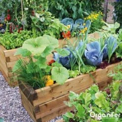 Kalk Korrel Meststof Verrijkt Met Magnesium (20Kg - Voor 400m2) Voor Dieper Bladgroen (+PH) Speciaal Voor Gazon, Perken, Moestuin En Openbaar Groen - Organifer -Tuinen Speciaal Winkel 1200x1200 1956