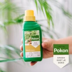 Pokon Palm Voeding - 250ml - Plantenvoeding - 10ml Per 1L Water -Tuinen Speciaal Winkel 1200x1200 1961