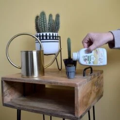 Pokon Bio Cactus & Vetplant Voeding - 250ml - Plantenvoeding (bio) - 7ml Per 1L Water -Tuinen Speciaal Winkel 1200x1200 1965