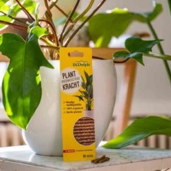 ECOstyle PlantKracht Voedingssticks - Sterke En Weerbare Potplanten - 100% Organische Planten - 120 Dagen Voeding - 30 Stuks -Tuinen Speciaal Winkel 1200x1200 1967