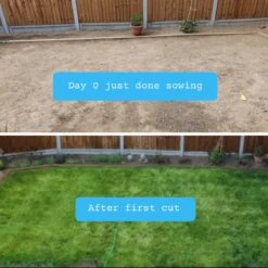 Snelwerkende Gazonmest Voor 100m² Gras | Meststof Voor Lente En Zomer | Ideaal Voor Meststofstrooier | Gazonbemesting -Tuinen Speciaal Winkel 1200x1200 1982