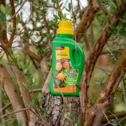 ECOstyle Citrus & Olijf Voeding - Stevige Vrucht - Langdurige Werking - Voor Alle Mediterrane Planten En Bomen 500 ML -Tuinen Speciaal Winkel 1200x1200 1989