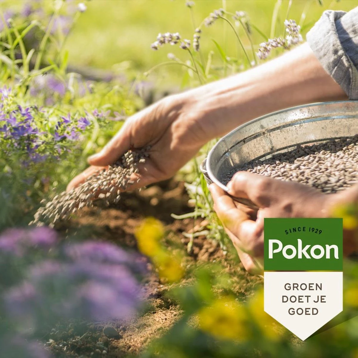 Pokon Tuinmest - 1kg - Meststof - 3-in-1 Werking 6 Pokon Tuinmest - 1kg - Meststof - 3-in-1 Werking - Afbeelding 4