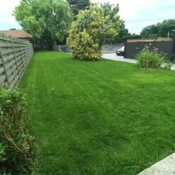 Gazonmest Met Ijzersulfaat Voor 100m²Gras | Gazon Meststof Met Ijzer | Mos Bestrijding & Gras Bemesting In Één | Ideaal Voor Meststofstrooier | Gazonbemesting -Tuinen Speciaal Winkel 1200x1200 2019