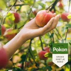 Pokon Bio Fruitbomen Mest - 1kg - Meststof (biologisch) - 120 Dagen Voeding -Tuinen Speciaal Winkel 1200x1200 2024
