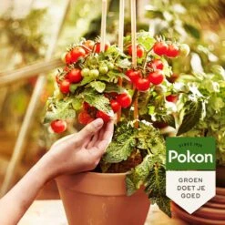 Pokon Bio Moestuin Mest - 1kg - Meststof (biologisch) - 120 Dagen Moestuinvoeding -Tuinen Speciaal Winkel 1200x1200 2026