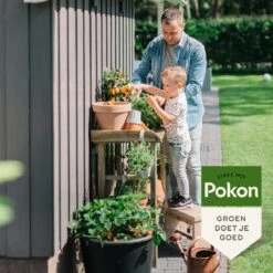 Pokon Bio Moestuin Mest - 1kg - Meststof (biologisch) - 120 Dagen Moestuinvoeding -Tuinen Speciaal Winkel 1200x1200 2027