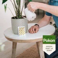 Pokon Bio Kuur Voor Weerbare En Gezonde Kamerplanten - Capsules - 12 Stuks - Geschikt Voor Alle Kamer-, Buitenplanten En Moestuin 9 Pokon Bio Kuur Voor Weerbare En Gezonde Kamerplanten - Capsules - 12 Stuks - Geschikt Voor Alle Kamer-, Buitenplanten En Moestuin -Tuinen Speciaal Winkel 1200x1200 2053