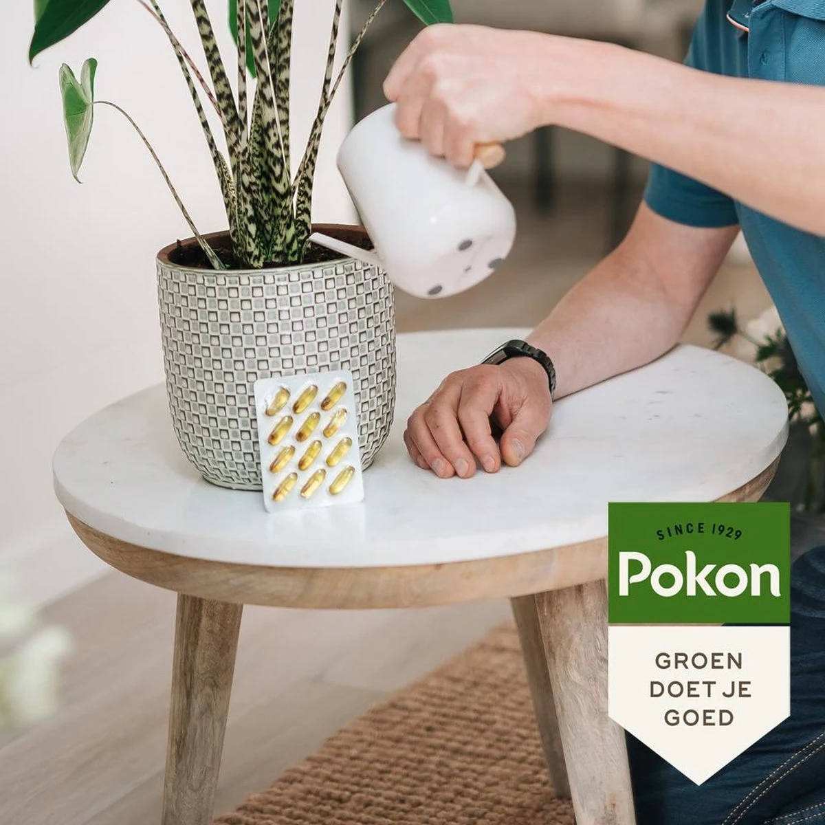 Pokon Bio Kuur Voor Weerbare En Gezonde Kamerplanten - Capsules - 12 Stuks - Geschikt Voor Alle Kamer-, Buitenplanten En Moestuin 6 Pokon Bio Kuur Voor Weerbare En Gezonde Kamerplanten - Capsules - 12 Stuks - Geschikt Voor Alle Kamer-, Buitenplanten En Moestuin - Afbeelding 4