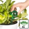 Merkloos Decopatent® 4 Stuks - Waterdruppelaar Voor Planten - Watergever - Glas - Waterbollen - Watergeefsysteem - Plantenbollen - Groen 2 Merkloos Decopatent® 4 Stuks - Waterdruppelaar Voor Planten - Watergever - Glas - Waterbollen - Watergeefsysteem - Plantenbollen - Groen -Tuinen Speciaal Winkel 1200x1200 206