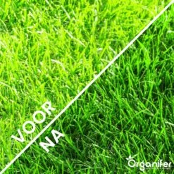Gazonmest All-In-One (20Kg - Voor 400m2) Voor Een Diepgroen Sterk Gazon Zonder Mos En Onkruid - Complete Meststof Met Kalk En Grasversterker - Organifer 19 Gazonmest All-In-One (20Kg - Voor 400m2) Voor Een Diepgroen Sterk Gazon Zonder Mos En Onkruid - Complete Meststof Met Kalk En Grasversterker - Organifer -Tuinen Speciaal Winkel 1200x1200 2064