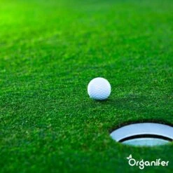 Gazonmest All-In-One (20Kg - Voor 400m2) Voor Een Diepgroen Sterk Gazon Zonder Mos En Onkruid - Complete Meststof Met Kalk En Grasversterker - Organifer 27 Gazonmest All-In-One (20Kg - Voor 400m2) Voor Een Diepgroen Sterk Gazon Zonder Mos En Onkruid - Complete Meststof Met Kalk En Grasversterker - Organifer -Tuinen Speciaal Winkel 1200x1200 2072