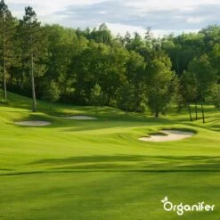 Gazonmest All-In-One (20Kg - Voor 400m2) Voor Een Diepgroen Sterk Gazon Zonder Mos En Onkruid - Complete Meststof Met Kalk En Grasversterker - Organifer 28 Gazonmest All-In-One (20Kg - Voor 400m2) Voor Een Diepgroen Sterk Gazon Zonder Mos En Onkruid - Complete Meststof Met Kalk En Grasversterker - Organifer -Tuinen Speciaal Winkel 1200x1200 2073