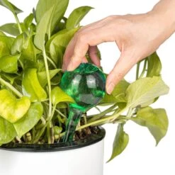 Merkloos Decopatent® 4 Stuks - Waterdruppelaar Voor Planten - Watergever - Glas - Waterbollen - Watergeefsysteem - Plantenbollen - Groen -Tuinen Speciaal Winkel 1200x1200 208