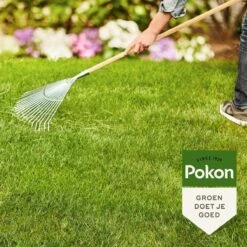 Pokon Gazonmest Met Kalk - 2kg - Mest - Geschikt Voor 30m² - 120 Dagen Voeding -Tuinen Speciaal Winkel 1200x1200 2106