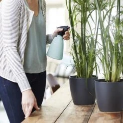 Elho Brussels Sprayer 12 - Plantenspuit Voor Binnen - Ø 11.3 X H 22.3 Cm - Groen/Mint 11 Elho Brussels Sprayer 12 - Plantenspuit Voor Binnen - Ø 11.3 X H 22.3 Cm - Groen/Mint -Tuinen Speciaal Winkel 1200x1200 238