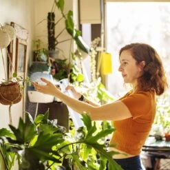 Allsa Mist Verstuiver - Mist Sprayer - Planten Spuit - Continuous Spray - Zwart -Tuinen Speciaal Winkel 1200x1200 258