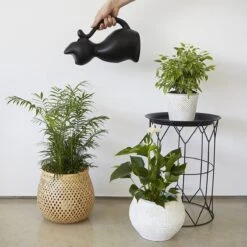 Balvi Meow! Kat Gieter - Zwart -Tuinen Speciaal Winkel 1200x1200 26