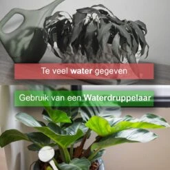 Waterdruppelaar Set Van 12 Stuks - Waterdruppelaar Voor Planten - Watergeefsysteem - Waterbol Irrigatiesysteem - Automatisch Druppelsysteem Voor Kamerplanten & Tuin - Watergever - Transparant - 15cm -Tuinen Speciaal Winkel 1200x1200 276