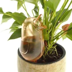 JS Drippy - Waterdruppelaars Set Van 2 Stuks - Druppelaar Vogel - Druppelsysteem Planten - Watergeefsysteem Kamerplanten - Waterbol - Roze -Tuinen Speciaal Winkel 1200x1200 278