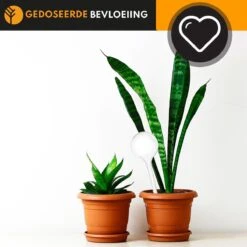 Waterdruppelaar Set Van 6 Stuks Voor Planten Transparant – 27 CM – Automatisch Watergeefsysteem Voor Kamerplanten – Planten Watergever Met Druppelsysteem – Waterbol -Tuinen Speciaal Winkel 1200x1200 281