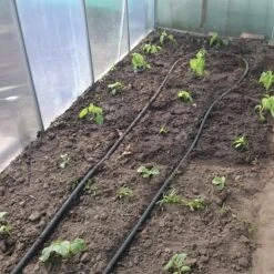 Druppelslang Actiepakket 100 Meter - Leidingshop -Tuinen Speciaal Winkel 1200x1200 315