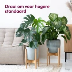 Gadgy Bamboe Plantenstandaard 2 St - Plantentafel - Plantentafeltje Voor Binnen - Plantenrek - Uitschuifbaar - Hout - Ø 20 Tot 30 Cm -Tuinen Speciaal Winkel 1200x1200 505