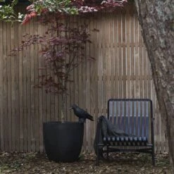 Capi Europe - Bloempot Bol Smooth NL - 35x34 - Zwart - Voor Binnen En Buiten - KBL932 -Tuinen Speciaal Winkel 1200x1200 509