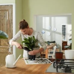 Elho Self-watering Insert 24 - Accessoires Voor Binnenaccessoires - Ø 23.7 X H 22.2 Cm - Zwart/Living Black 12 Elho Self-watering Insert 24 - Accessoires Voor Binnenaccessoires - Ø 23.7 X H 22.2 Cm - Zwart/Living Black -Tuinen Speciaal Winkel 1200x1200 514