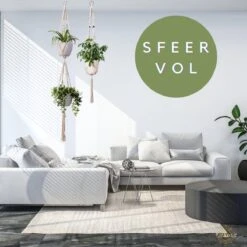 Plantenhanger Macrame Set Van 2 - Plantenhanger Met Ruimte Voor 3 Potten - Luxe Gevlochten Touw 100% Katoen - Duurzaam - Plantenbakken - Bloempotten - Macramé Stijl Hanger Voor Bloempotten - Hangpot - Fienosa 11 Plantenhanger Macrame Set Van 2 - Plantenhanger Met Ruimte Voor 3 Potten - Luxe Gevlochten Touw 100% Katoen - Duurzaam - Plantenbakken - Bloempotten - Macramé Stijl Hanger Voor Bloempotten - Hangpot - Fienosa -Tuinen Speciaal Winkel 1200x1200 540