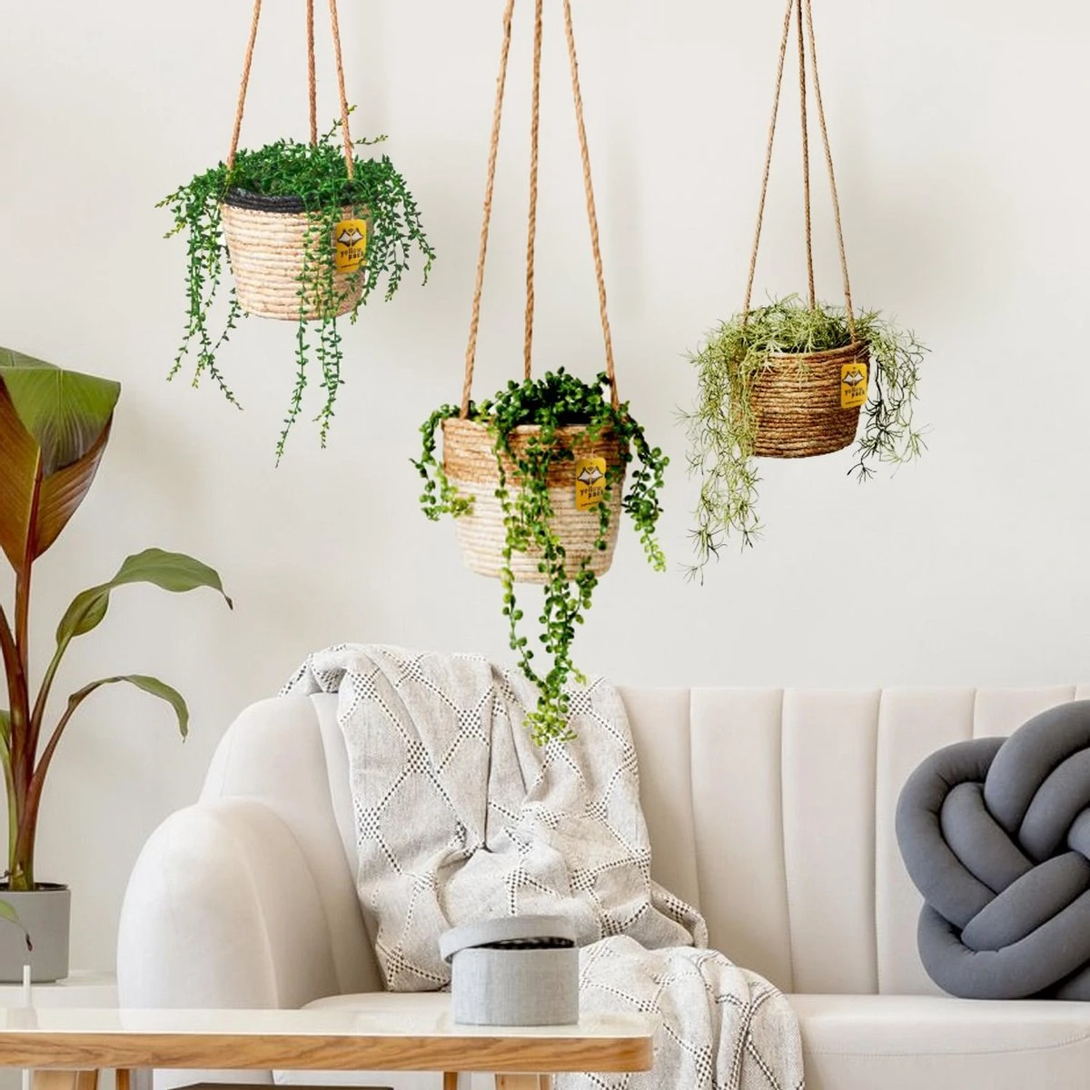 Merkloos Plantenhanger 18x15cm Naturel | Hangende Mand | Handgemaakt | Planten-houder / Hang-plant | Planten Accessoires | Hangmand 3 Merkloos Plantenhanger 18x15cm Naturel | Hangende Mand | Handgemaakt | Planten-houder / Hang-plant | Planten Accessoires | Hangmand