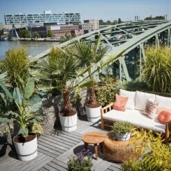 Elho Greenville Rond 30 - Grote Bloempot Voor Buiten - Gemaakt Van Gereycled Plastic - Ø 29.5 X H 27.8 Cm - Living Black 19 Elho Greenville Rond 30 - Grote Bloempot Voor Buiten - Gemaakt Van Gereycled Plastic - Ø 29.5 X H 27.8 Cm - Living Black -Tuinen Speciaal Winkel 1200x1200 574