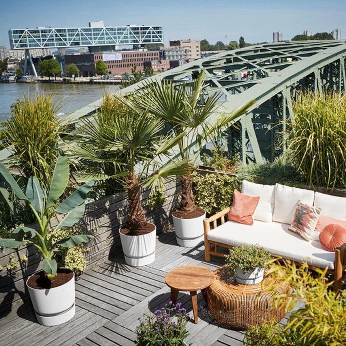 Elho Greenville Rond 30 - Grote Bloempot Voor Buiten - Gemaakt Van Gereycled Plastic - Ø 29.5 X H 27.8 Cm - Living Black 10 Elho Greenville Rond 30 - Grote Bloempot Voor Buiten - Gemaakt Van Gereycled Plastic - Ø 29.5 X H 27.8 Cm - Living Black - Afbeelding 8