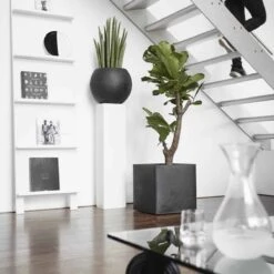 Capi Europe - Bloempot Vierkant Smooth NL - 50x50x50 - Zwart - Voor Binnen En Buiten - KBL904 -Tuinen Speciaal Winkel 1200x1200 583