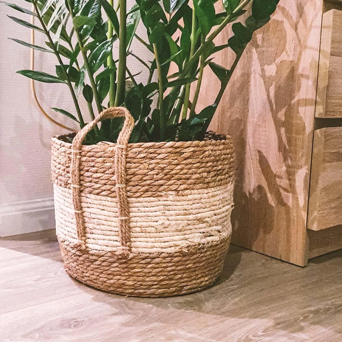 Merkloos Plantenmand 30x22cm Naturel Bruin – Multifunctionele Mand – Handgemaakt – Planten-houder – Planten Accessoires – Planten Mand 3 Merkloos Plantenmand 30x22cm Naturel Bruin – Multifunctionele Mand – Handgemaakt – Planten-houder – Planten Accessoires – Planten Mand