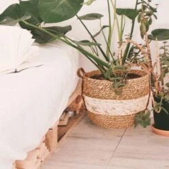 Merkloos Plantenmand 30x22cm Naturel Bruin – Multifunctionele Mand – Handgemaakt – Planten-houder – Planten Accessoires – Planten Mand 14 Merkloos Plantenmand 30x22cm Naturel Bruin – Multifunctionele Mand – Handgemaakt – Planten-houder – Planten Accessoires – Planten Mand -Tuinen Speciaal Winkel 1200x1200 600