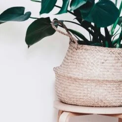 Plantenmand 35x35cm Naturel Extra Groot | Multifunctionele Mand | Handgemaakt | Planten-houder | Planten Accessoires | Planten Mand