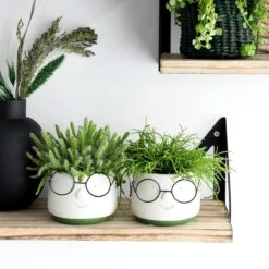2x Bloempot Met Gezicht - Ø8 X H6,5 Cm - Bloempotten Voor Binnen Met Bril/Face/Hoofd -Tuinen Speciaal Winkel 1200x1200 642