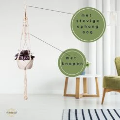 Plantenhanger - Plantenhanger Macrame - Set Van 2 - Wit - Knopen - Luxe Gevlochten Touw - Met Ophang Haken - Fienosa 10 Plantenhanger - Plantenhanger Macrame - Set Van 2 - Wit - Knopen - Luxe Gevlochten Touw - Met Ophang Haken - Fienosa -Tuinen Speciaal Winkel 1200x1200 659